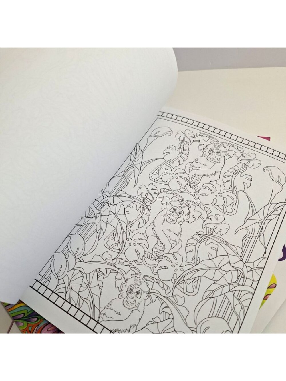 Creative Haven Art Nouveau Animal Fashions Fanciful Faces Coloring Books Lot - Picture 8 of 12